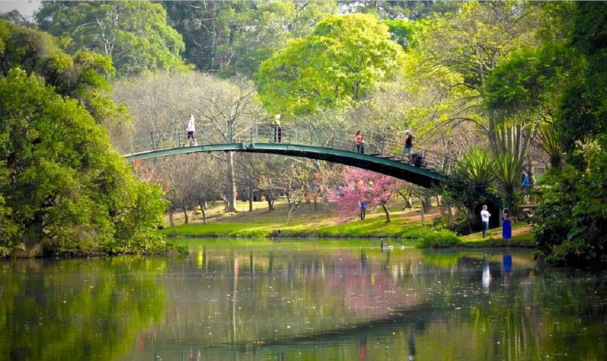 Parque Ibirapuera Parque Ibirapuera